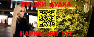 крисы Бузулук