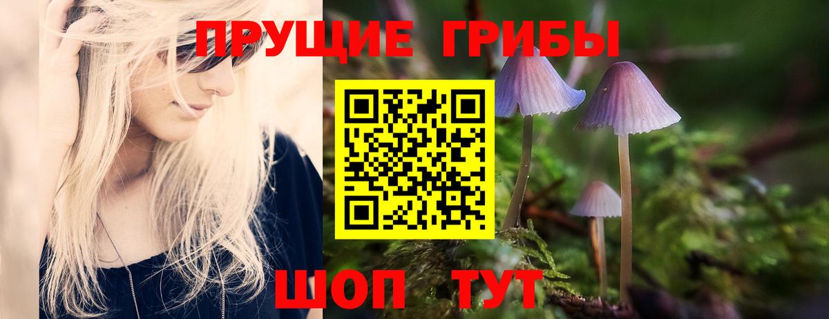 Тамбов  Псилоцибиновые грибы MAGIC MUSHROOMS  Вход с VPN  Псилоцибиновые грибы Psilocybine cubensis 